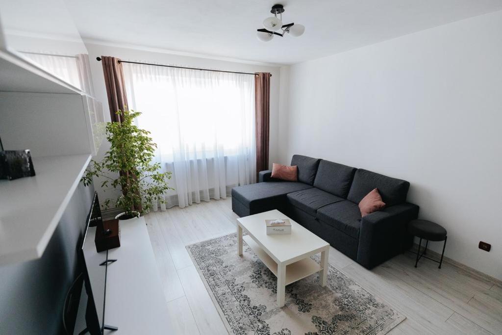 Scandinavian House Leilighet Târgu Jiu Eksteriør bilde